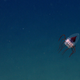Illustration for article titled Theres Now an Underwater Yellowstone off the Coast of Cape Cod